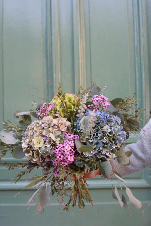 HORTENSIAS VIEILLIS