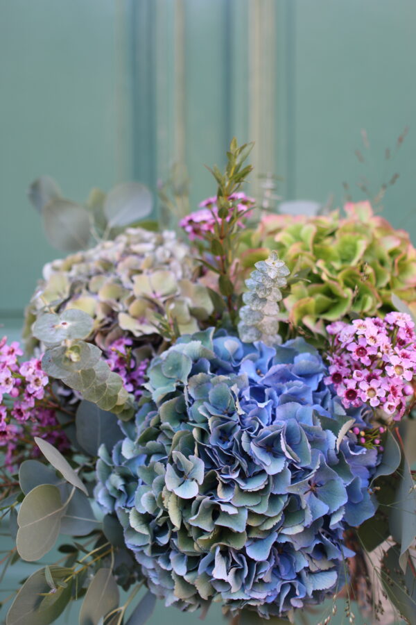 HORTENSIAS VIEILLIS – Image 2
