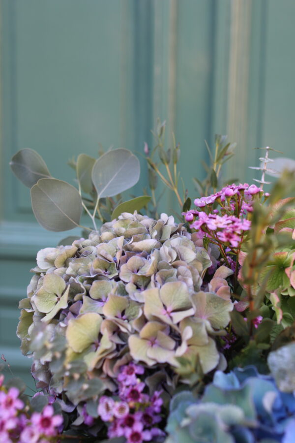HORTENSIAS VIEILLIS – Image 3