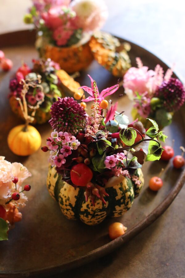TRIO DE COLOQUINTES – Image 3