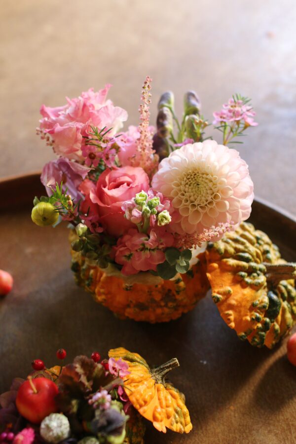 TRIO DE COLOQUINTES – Image 2